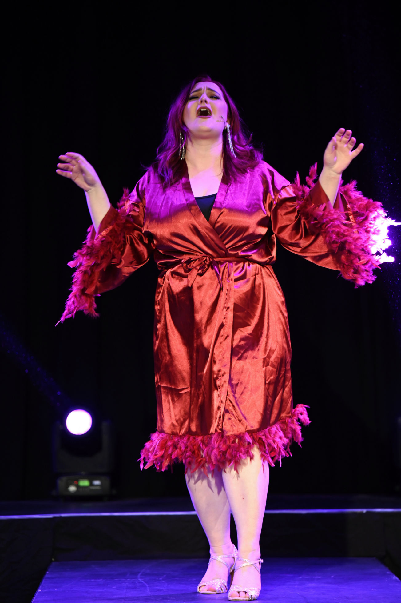 concert performer 